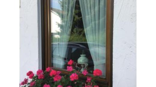 Holzfenster in eukalyptus-braun 