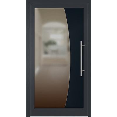 Glashaustür mit schwarzem Rahmen