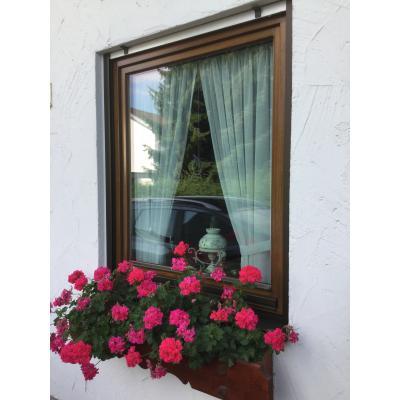 Holzfenster in eukalyptus-braun 